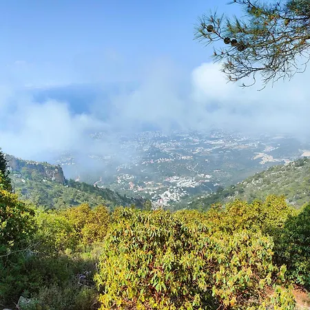 Esta Palm Living And Bedroom, 250 M From