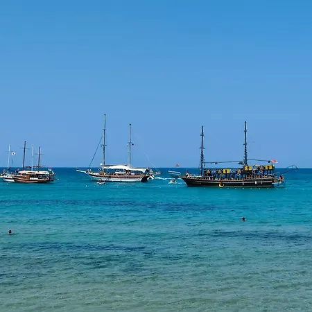 Esta Palm Living And Bedroom, 250 M From شقة