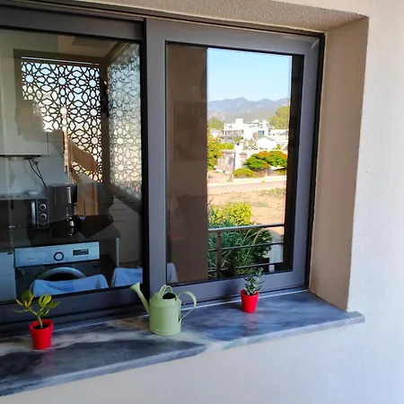 Esta Palm Living And Bedroom, 250 M From דירה