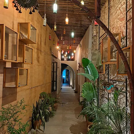 Esta Palm Living And Bedroom, 250 M From *