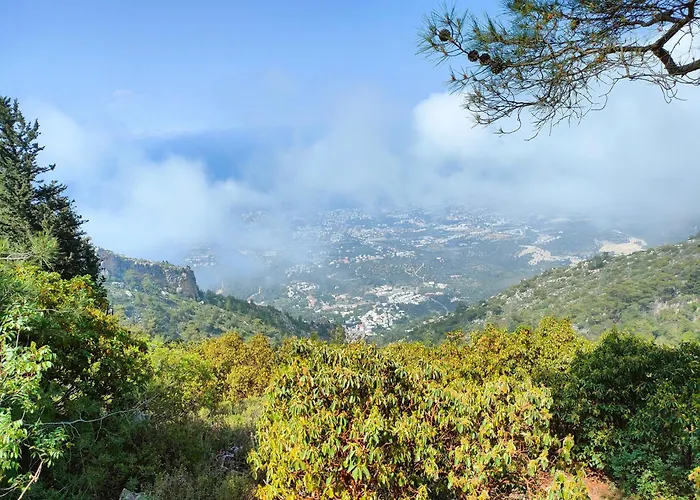 Esta Palm Living And Bedroom, 250 M From